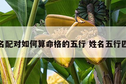 姓名配对如何算命格的五行 姓名五行匹配