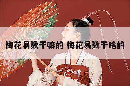 梅花易数干嘛的 梅花易数干啥的