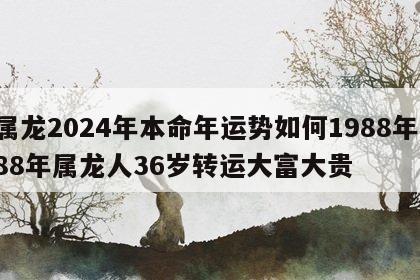 属龙2024年本命年运势如何1988年 88年属龙人36岁转运大富大贵