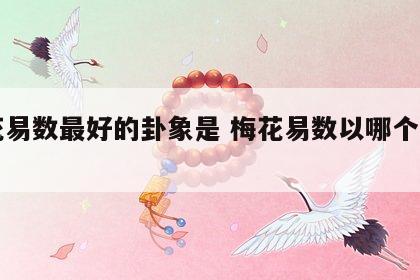 梅花易数最好的卦象是 梅花易数以哪个卦为主