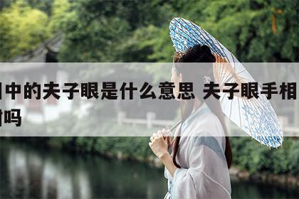 手相中的夫子眼是什么意思 夫子眼手相先苦后甜吗