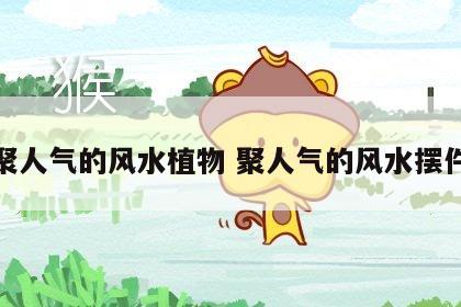 聚人气的风水植物 聚人气的风水摆件