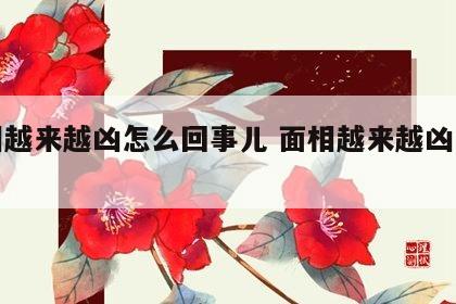 面相越来越凶怎么回事儿 面相越来越凶怎么办