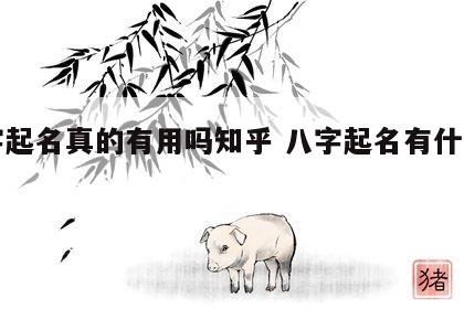 八字起名真的有用吗知乎 八字起名有什么讲究