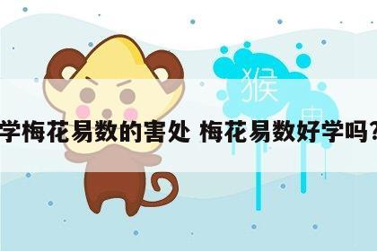 学梅花易数的害处 梅花易数好学吗?