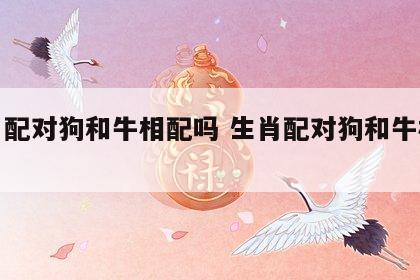 生肖配对狗和牛相配吗 生肖配对狗和牛相配吗