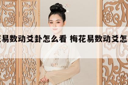 梅花易数动爻卦怎么看 梅花易数动爻怎么解卦