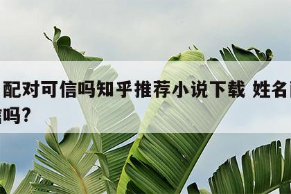 姓名配对可信吗知乎推荐小说下载 姓名配对可信吗?