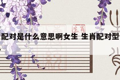 生肖配对是什么意思啊女生 生肖配对型什么意思