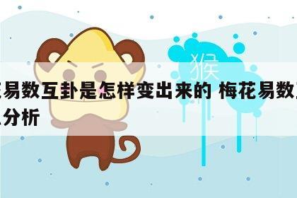 梅花易数互卦是怎样变出来的 梅花易数互卦怎么分析