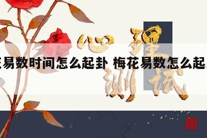 梅花易数时间怎么起卦 梅花易数怎么起卦解卦