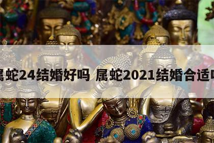 属蛇24结婚好吗 属蛇2021结婚合适吗