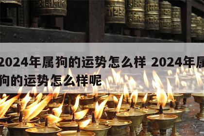 2024年属狗的运势怎么样 2024年属狗的运势怎么样呢