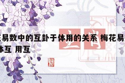 梅花易数中的互卦于体用的关系 梅花易数互卦 体互 用互