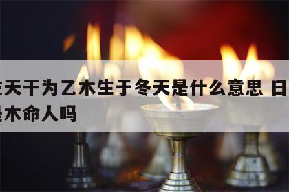 日主天干为乙木生于冬天是什么意思 日主乙木是木命人吗