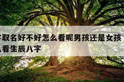 八字取名好不好怎么看呢男孩还是女孩 取名怎么看生辰八字