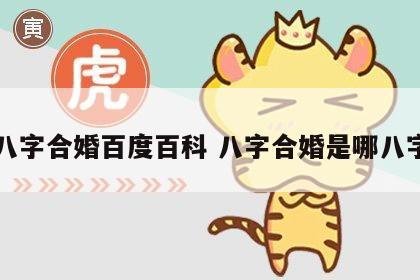 八字合婚百度百科 八字合婚是哪八字