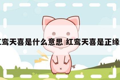红鸾天喜是什么意思 红鸾天喜是正缘吗
