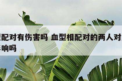 血型配对有伤害吗 血型相配对的两人对后代有影响吗