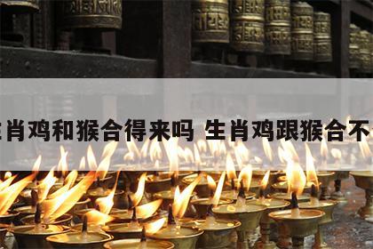 生肖鸡和猴合得来吗 生肖鸡跟猴合不合