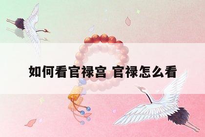 如何看官禄宫 官禄怎么看