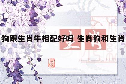 生肖狗跟生肖牛相配好吗 生肖狗和生肖牛合吗
