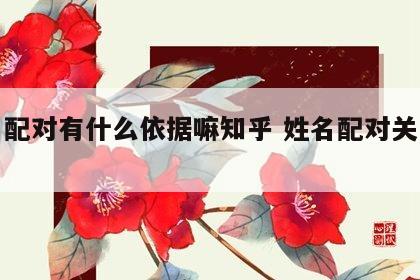 姓名配对有什么依据嘛知乎 姓名配对关系揭秘