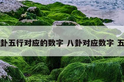 八卦五行对应的数字 八卦对应数字 五行