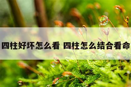 四柱好坏怎么看 四柱怎么结合看命