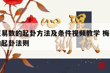 梅花易数的起卦方法及条件视频教学 梅花易数的起卦法则