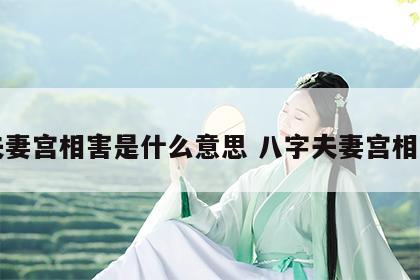 夫妻宫相害是什么意思 八字夫妻宫相害