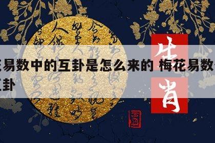 梅花易数中的互卦是怎么来的 梅花易数什么是互卦