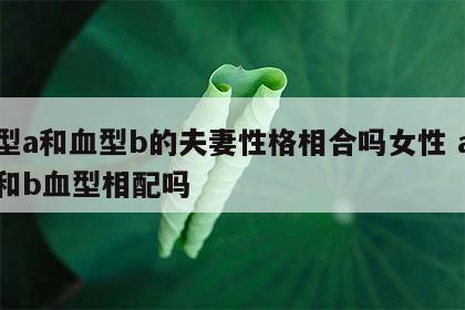 血型a和血型b的夫妻性格相合吗女性 a血型和b血型相配吗