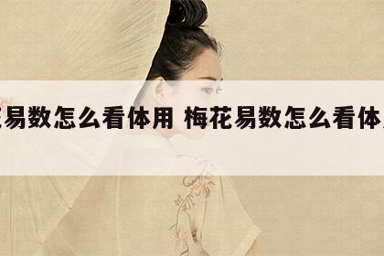 梅花易数怎么看体用 梅花易数怎么看体用关系