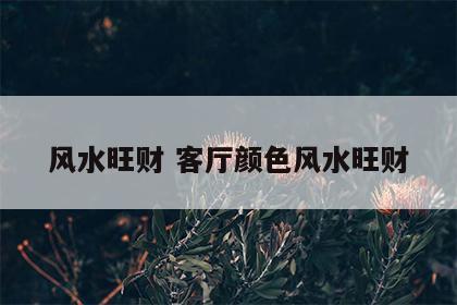 风水旺财 客厅颜色风水旺财