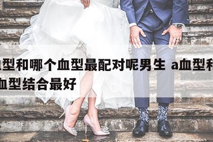 a血型和哪个血型最配对呢男生 a血型和什么血型结合最好