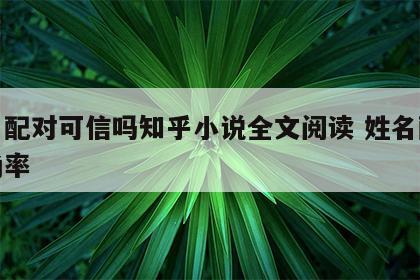 姓名配对可信吗知乎小说全文阅读 姓名配对准确率