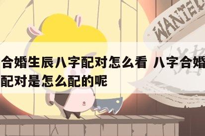 八字合婚生辰八字配对怎么看 八字合婚生辰八字配对是怎么配的呢