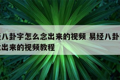 易经八卦字怎么念出来的视频 易经八卦字怎么念出来的视频教程