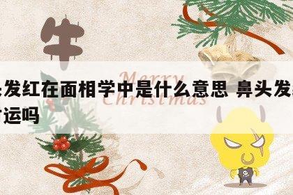 鼻头发红在面相学中是什么意思 鼻头发红影响财运吗