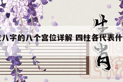 四柱八字的八个宫位详解 四柱各代表什么宫位