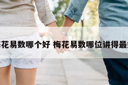 梅花易数哪个好 梅花易数哪位讲得最好