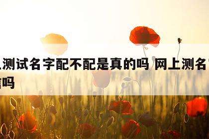 网上测试名字配不配是真的吗 网上测名字的能信吗