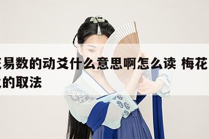 梅花易数的动爻什么意思啊怎么读 梅花易数动爻的取法