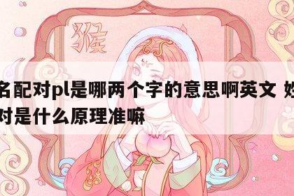 姓名配对pl是哪两个字的意思啊英文 姓名配对是什么原理准嘛