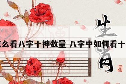 怎么看八字十神数量 八字中如何看十神