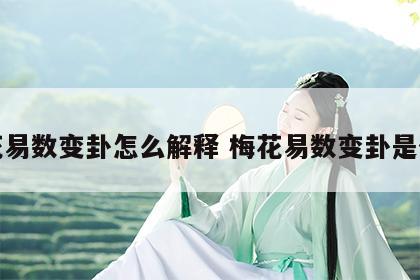 梅花易数变卦怎么解释 梅花易数变卦是什么