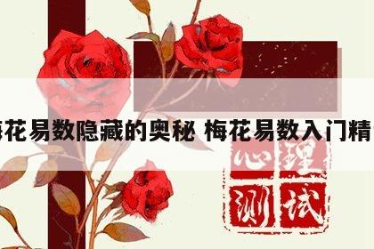 梅花易数隐藏的奥秘 梅花易数入门精讲