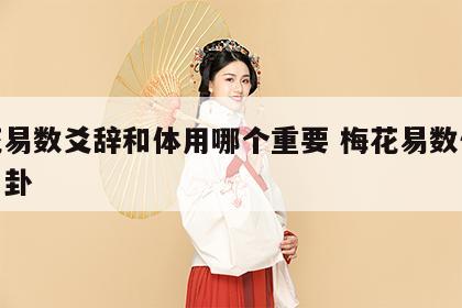 梅花易数爻辞和体用哪个重要 梅花易数体卦和用卦