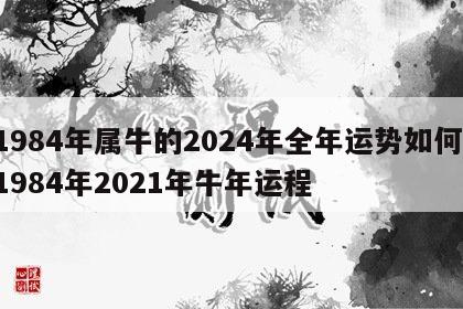 1984年属牛的2024年全年运势如何 1984年2021年牛年运程